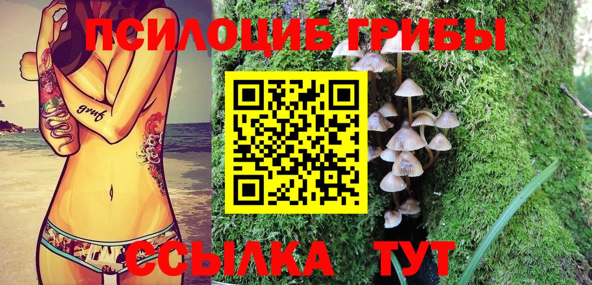 Бошки Шишки Великий Устюг