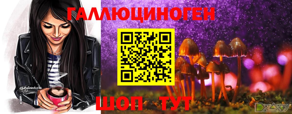 Великий Устюг  Псилоцибиновые грибы Psilocybine cubensis  Вход с VPN 